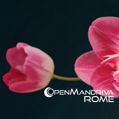 OpenMandriva ROME Album