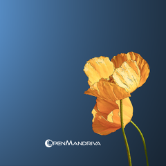 OpenMandriva Lx 3.0-copertina