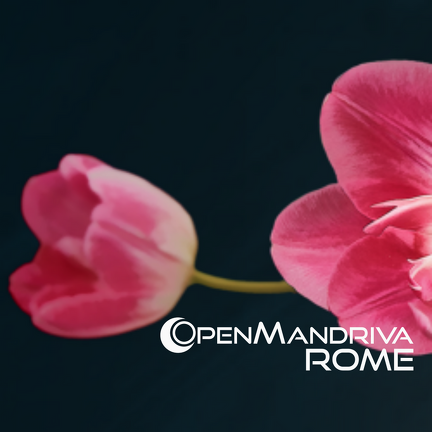 OpenMandriva ROME Album