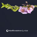 OpenMandriva Lx 5.0 Album