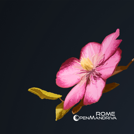 OpenMandriva ROME 2024 Album