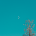 Day moon