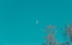 Day moon