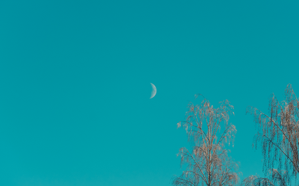 Day moon